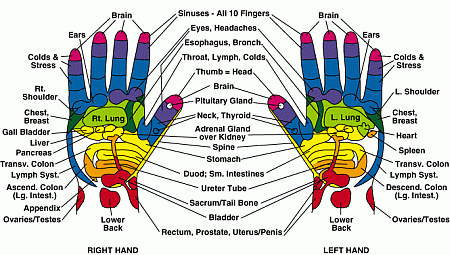 Reflexology Hands And Feet Charts