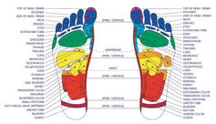 foot-chart